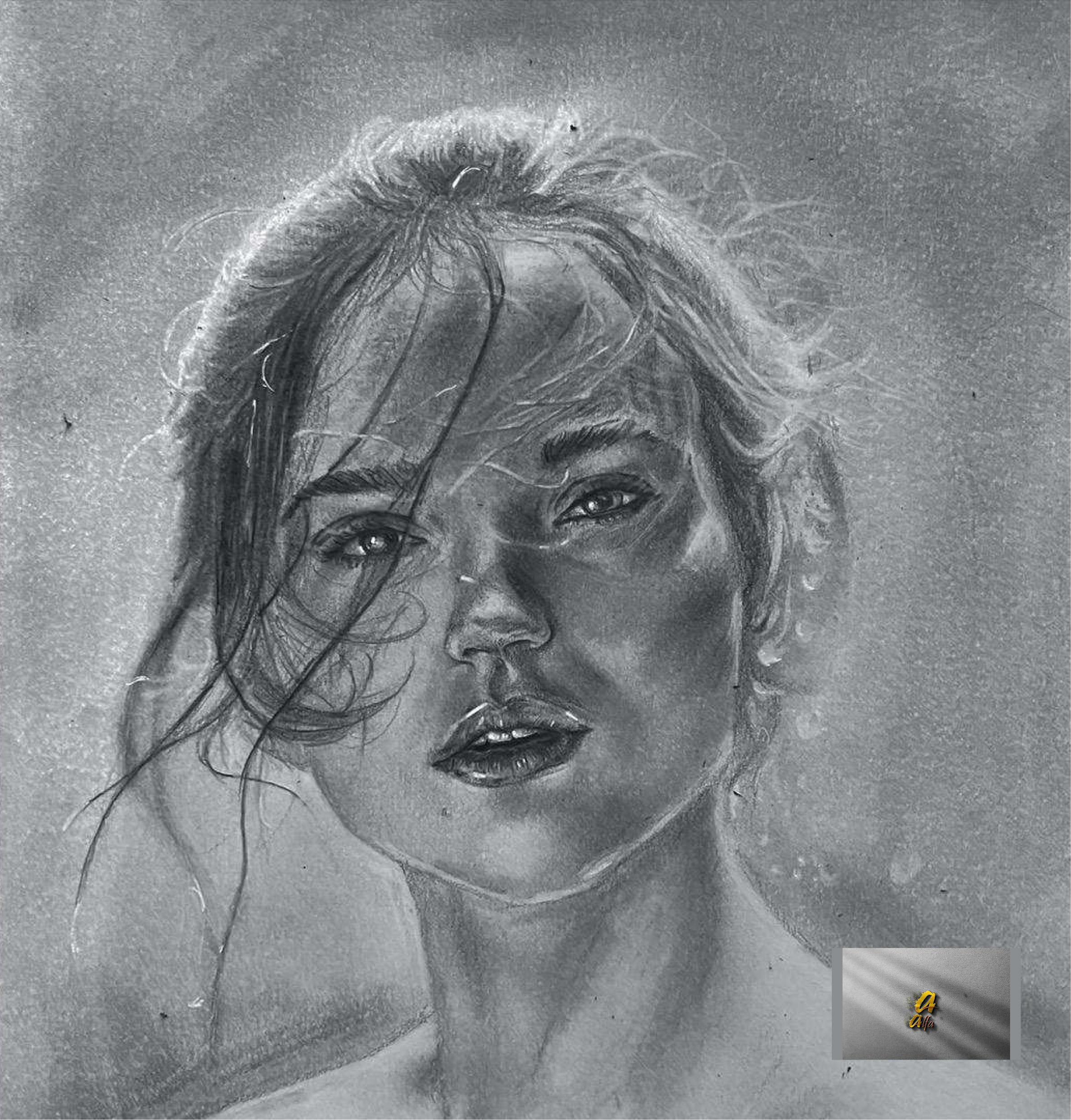 Pencil portraits from photos handmade by charcoal sketch drawing artists